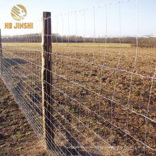 Hot Dipped Galvanized Hinge Joint Knotted Farm Cattle Field Fence/Stock Fence/Grassland Fence